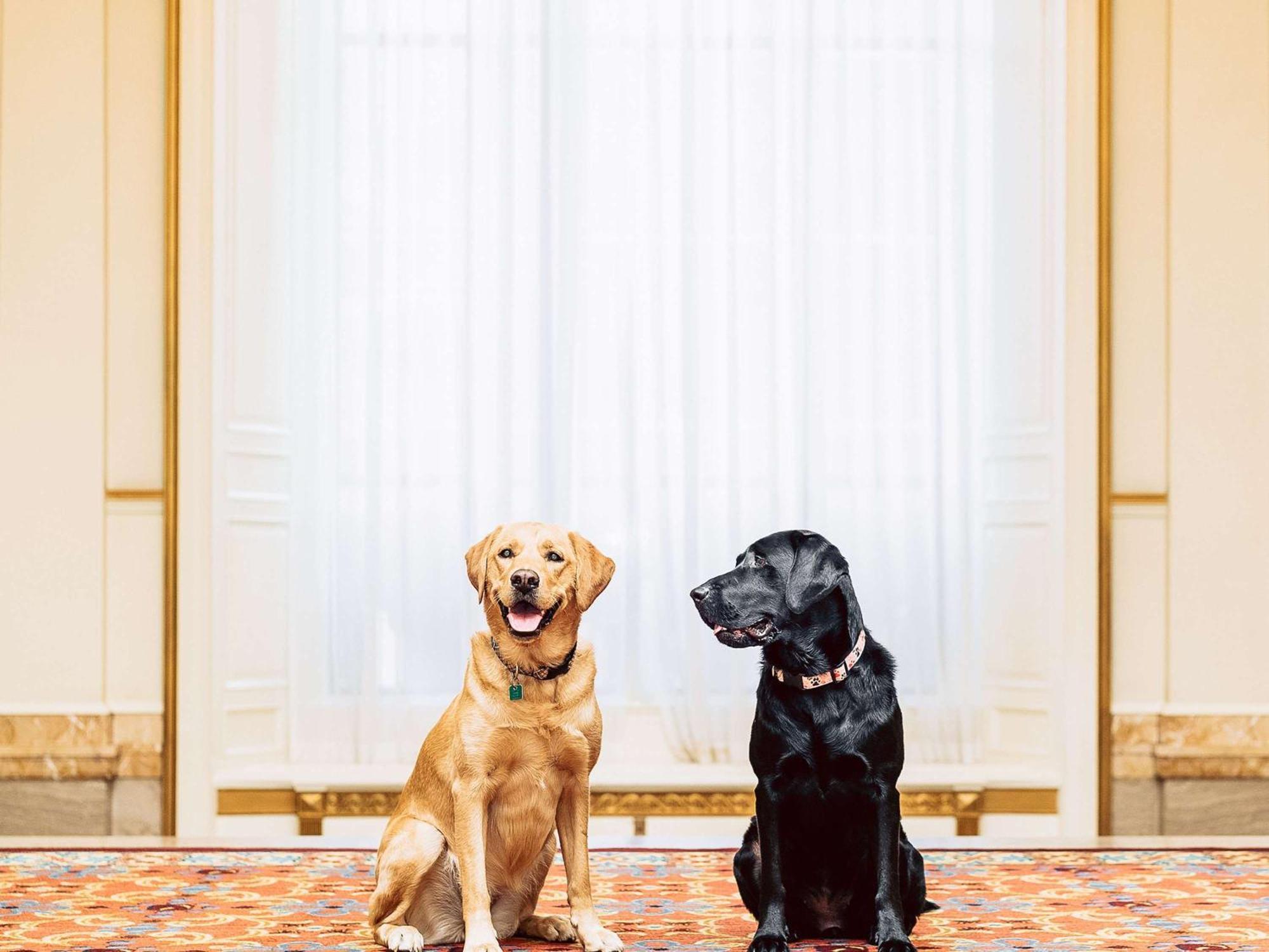 Fairmont Hotel Vancouver Exterior photo Sunny and Bo
